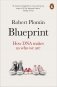 Blueprint фото книги маленькое 2