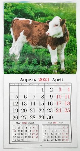 Календарь настенный перекидной на 2021 год с символом года (в ассортименте) фото книги 2