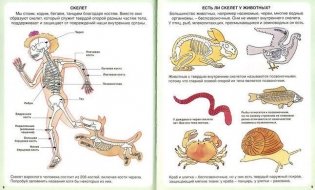 Тело человека фото книги 2