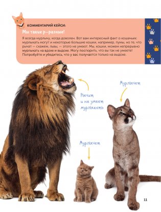 Кошки. Полное руководство для детей фото книги 12