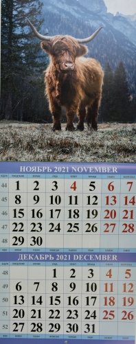 Символ года. Вид 3. Календарь настенный перекидной на скрепке на 2021 год фото книги 3