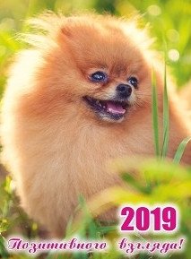 Карманный календарь на 2019 год "Позитивного взгляда!", с подставкой фото книги