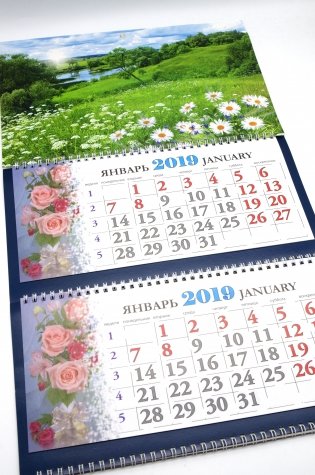 Календарь квартальный на 2019 год. "Природа" фото книги 3