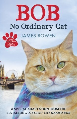 Bob: No Ordinary Cat фото книги