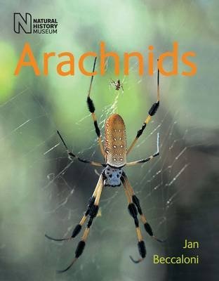 Arachnids фото книги