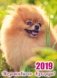 Карманный календарь на 2019 год "Позитивного взгляда!", с подставкой фото книги маленькое 2