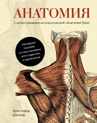 Анатомия. С иллюстрациями из классической «Анатомии Грея» фото книги