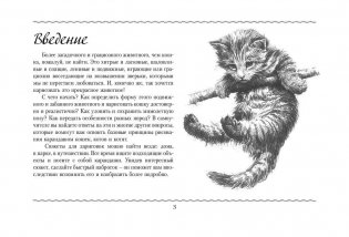 Рисуем кошек фото книги 4