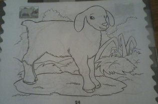 Раскраска со стикерами. Зверята фото книги 4