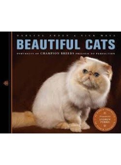 Beautiful Cats фото книги