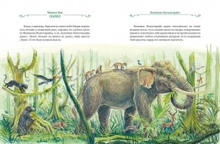 Сказки фото книги 3