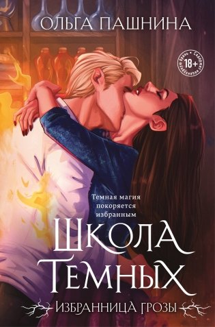 Школа темных. Избранница грозы (клатчбук) фото книги
