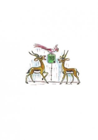 Сказки К. Чуковского, рисунки В. Сутеева фото книги 5