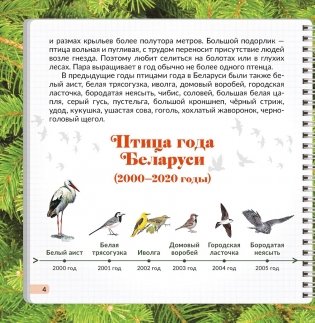 Птица года Беларуси. Глухарь фото книги 3