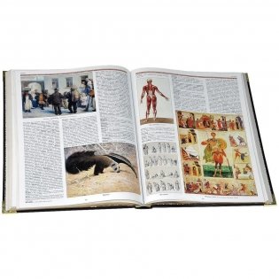 Иллюстрированный толковый словарь живого великорусского языка (подарочное издание) фото книги 4