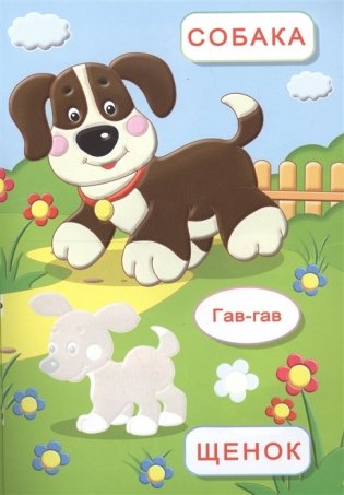 Домашние животные фото книги 5