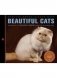 Beautiful Cats фото книги маленькое 2