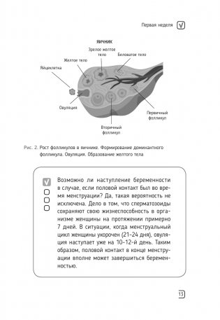 Календарь беременности — неделя за неделей. Большое путешествие от зачатия до родов фото книги 14