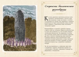 Маленький гримуар ведьмы. Зелья и волшебные травы фото книги 5