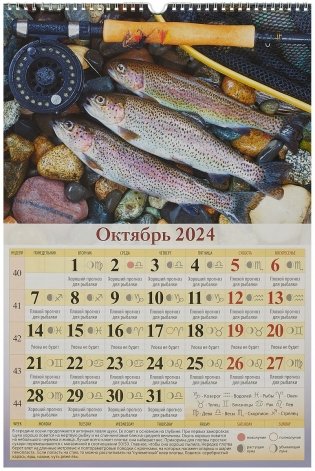 Календарь настенный перекидной на 2024 год "Особенности национальной рыбалки" (320х480 мм), на ригеле фото книги 3