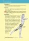 Анатомия силовых тренировок для женщин фото книги маленькое 12