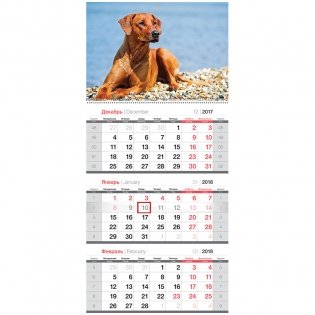 Календарь квартальный "Год собаки", с бегунком, на 2018 год фото книги