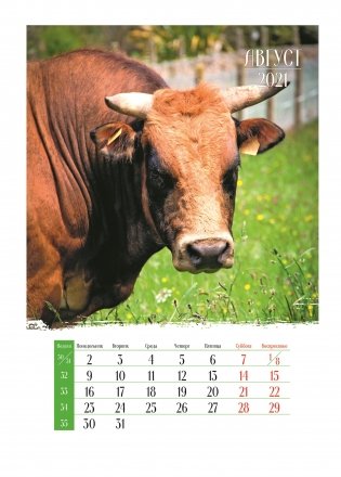 Календарь на спирали на 2021 год "Символ года 2" фото книги 2