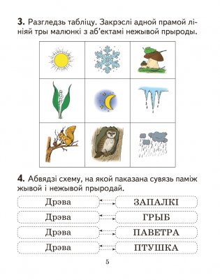 Чалавек і свет. 2 клас. Практыкум. ГРЫФ фото книги 4