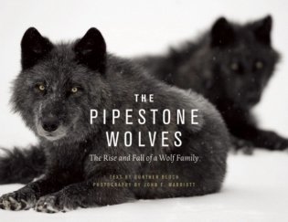 The Pipestones: The Rise and Fall of a Wolf Family фото книги