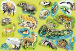 Кто живет в Америке фото книги 2