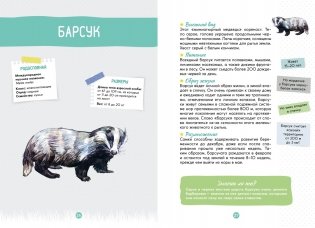 Лесные животные фото книги 5