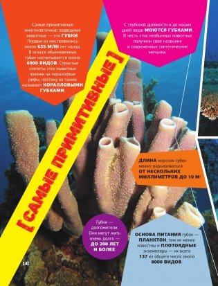 Большая энциклопедия о подводном мире. 500 фотографий и фактов фото книги 3