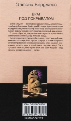 Враг под покрывалом фото книги 2