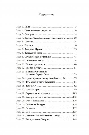 Стамбульский ветер. Роман фото книги 8