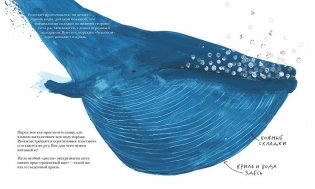 Синий кит фото книги 5