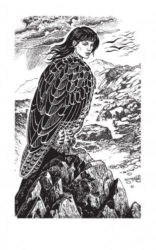 Леди Сирин Энского уезда фото книги 2