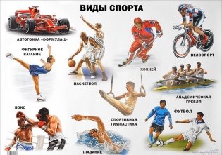 Виды спорта. Плакат фото книги