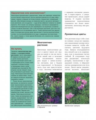 Садовые цветы. Подробное иллюстрированное руководство фото книги 10