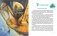 Комплект "Волшебник Изумрудного города. Все приключения в 6 книгах" фото книги маленькое 11