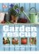Garden Rescue фото книги маленькое 2