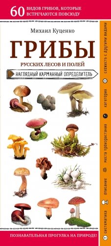 Грибы русских лесов и полей фото книги