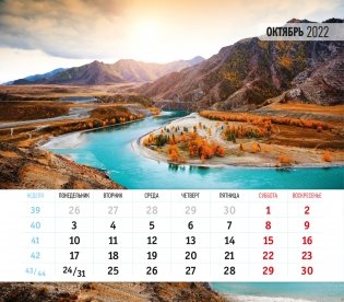 Календарь-домик (евро) "Мир природы. Маркет" на 2022 год фото книги 3