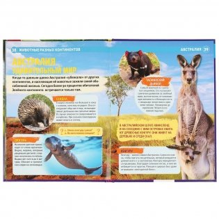 Энциклопедия. Животные разных континентов фото книги 5