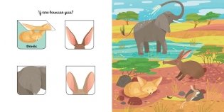 Уши, лапы и хвосты фото книги 4