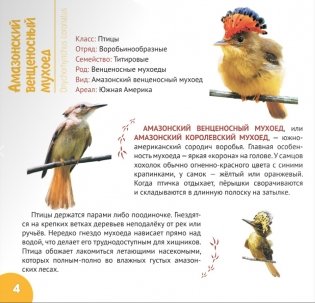 Экзотические птицы. Серия "Планета животных" фото книги 4