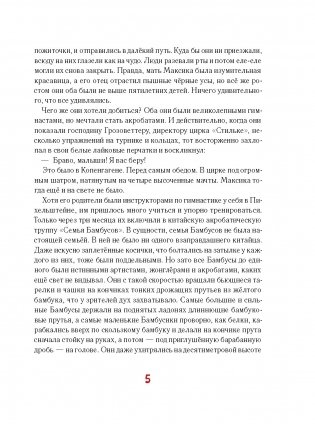 Мальчик из спичечной коробки 2-е изд. фото книги 4