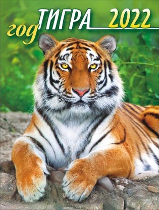 Календарь на магните на 2022 год "Символ года - Тигр" фото книги