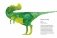 Динозавры и другие древние животные фото книги маленькое 3