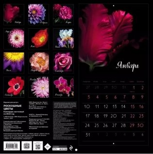 Роскошные цветы. Календарь настенный на 2022 год фото книги 3