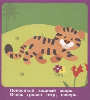 Набор карточек "Животные в зоопарке", 18 карточек фото книги 5